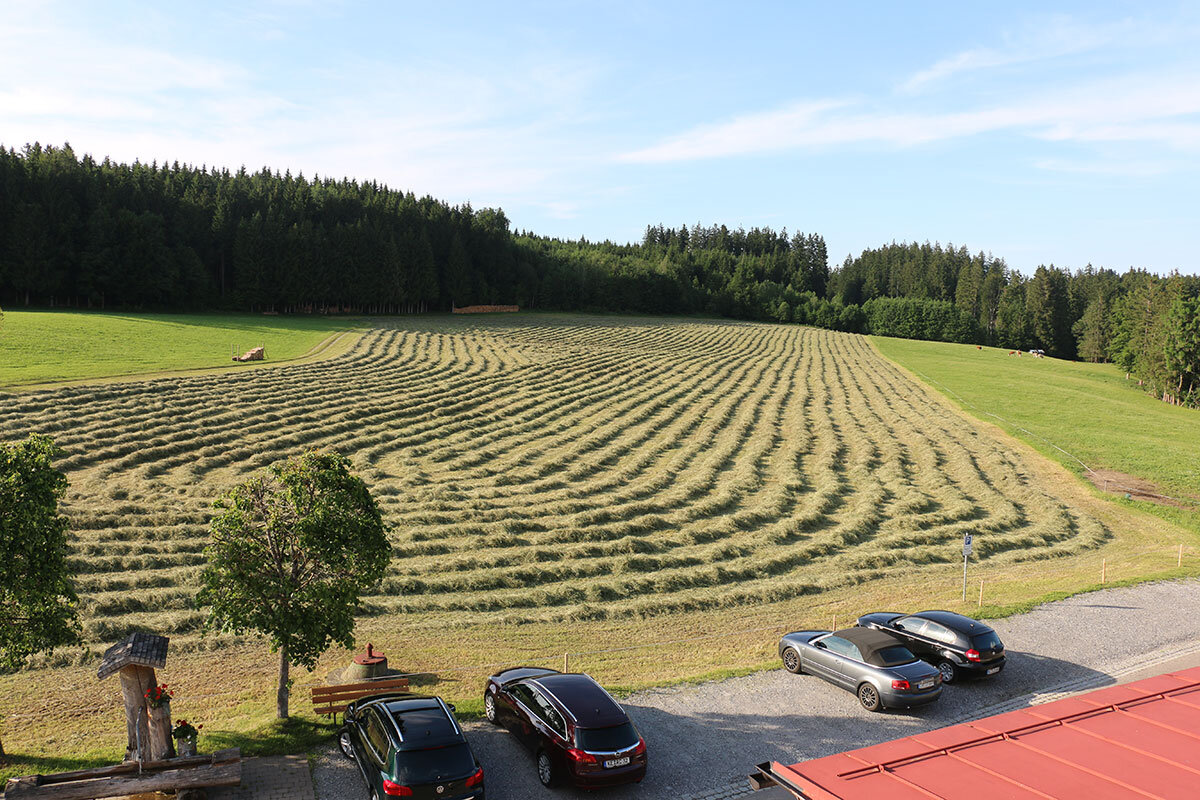 Landwirtschaft Waldgasthaus Tobias