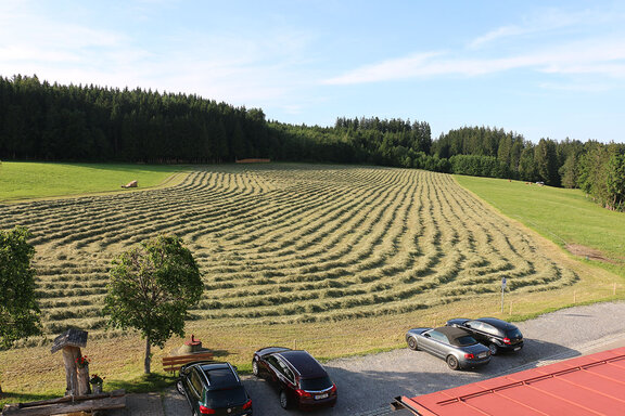 Landwirtschaft Waldgasthaus Tobias