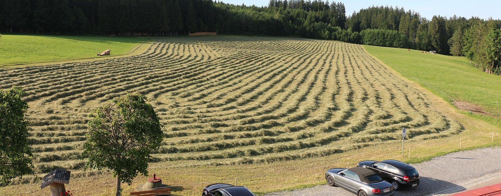 Landwirtschaft im Waldgasthaus Tobias